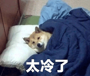 圖片1