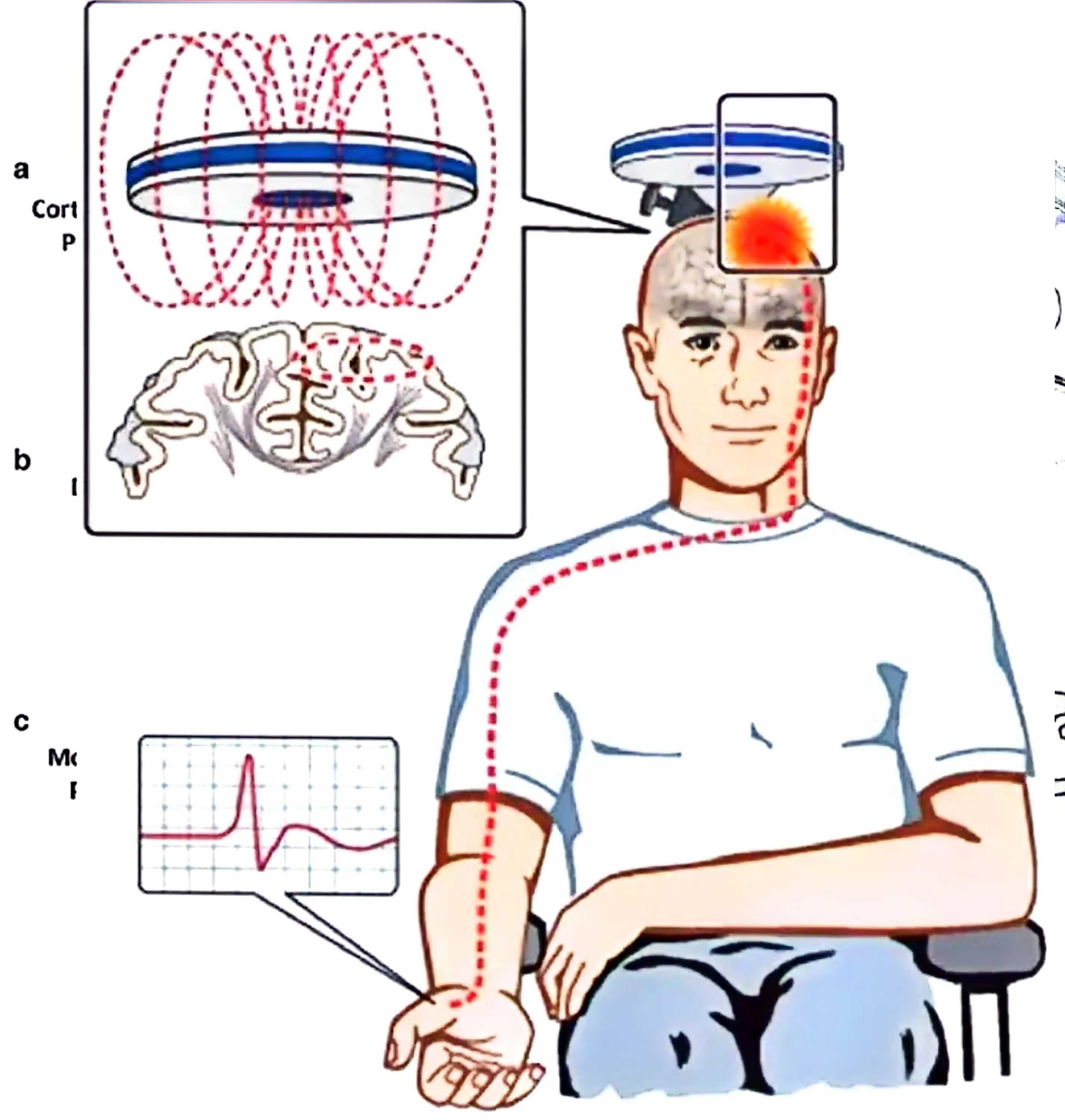 wps_doc_0