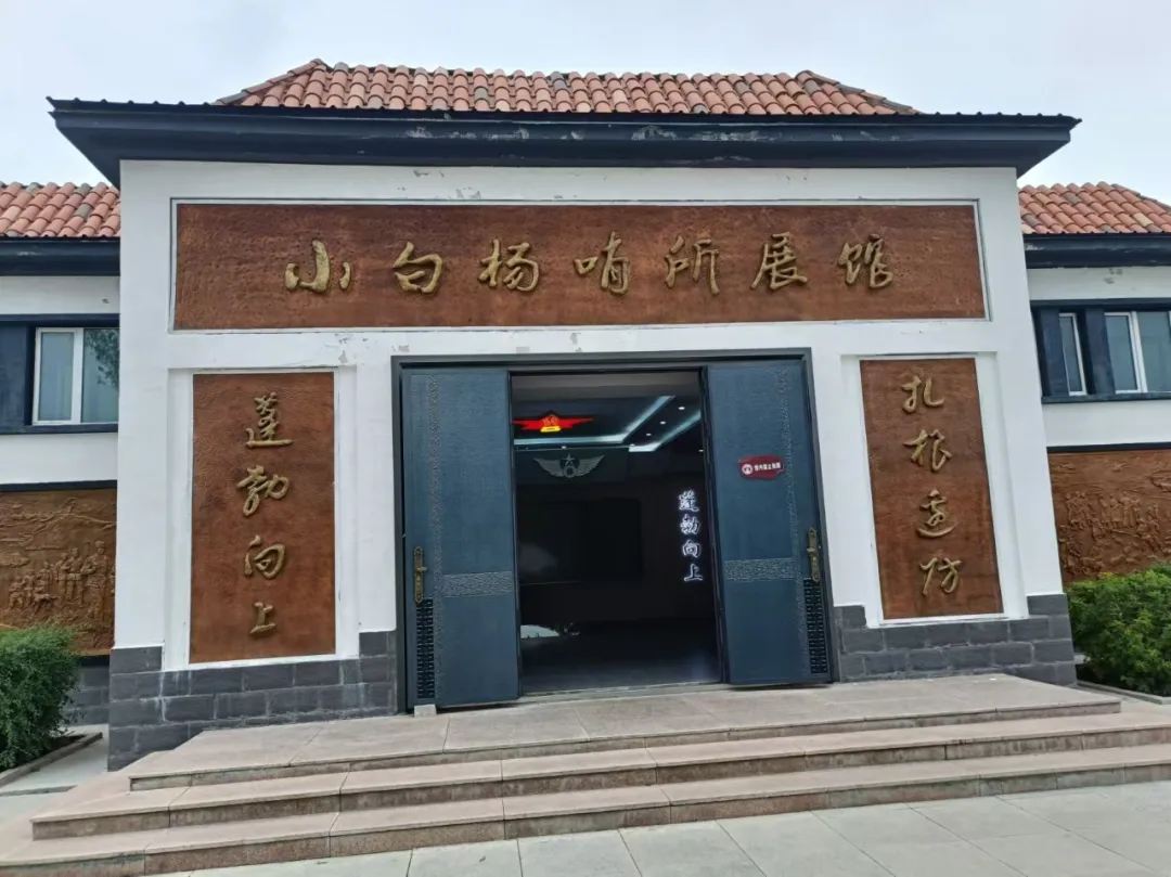 圖片4