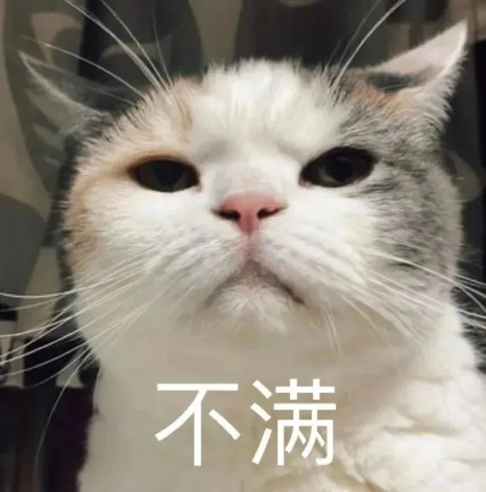 圖片44