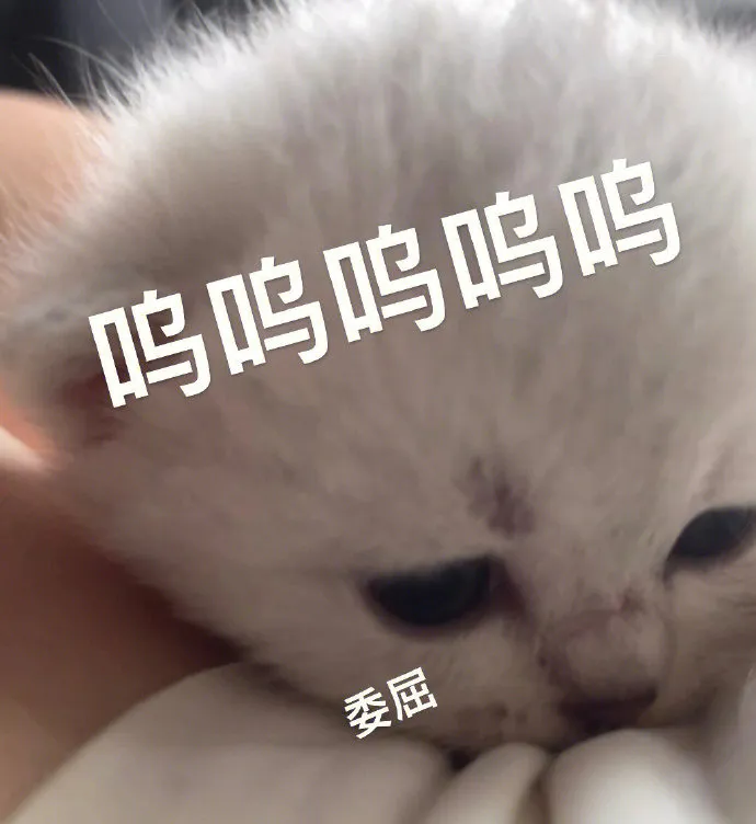 圖片45
