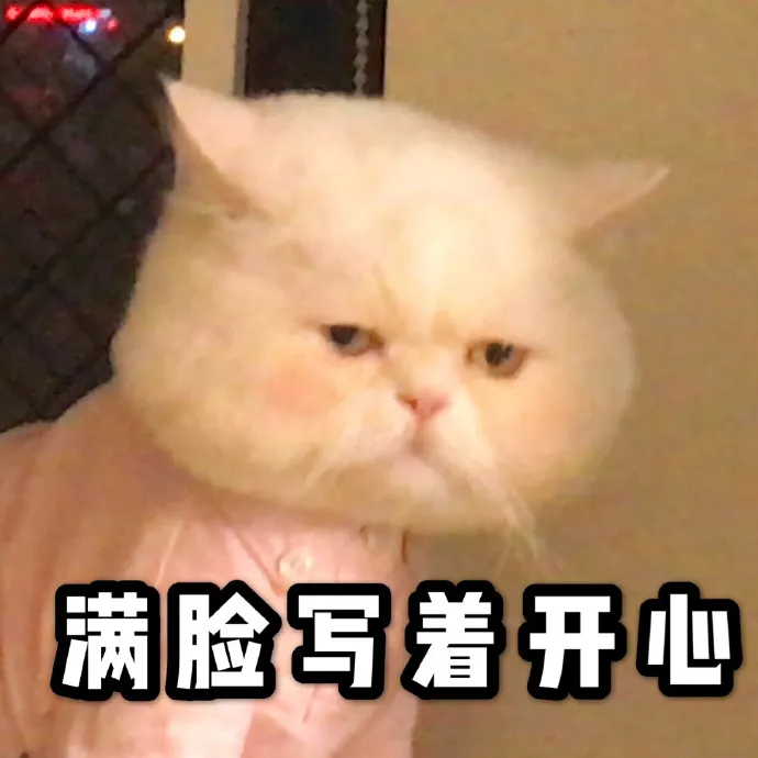圖片43