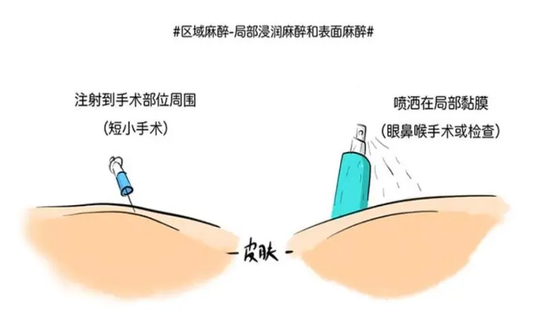 圖片29