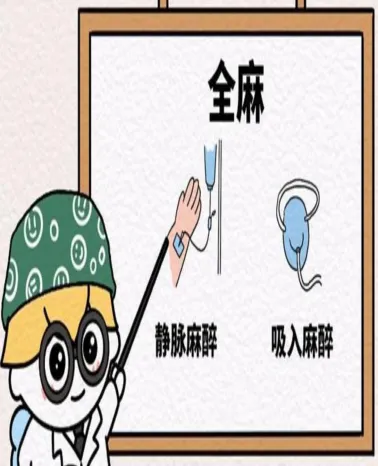 圖片30