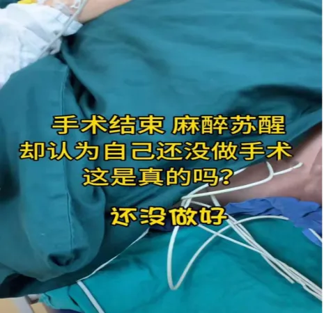 圖片31